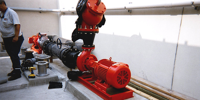 Red Chiller Pumps